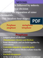Inter Phase Is Followed by Mitosis. It Is The Nuclear Division Involves The Separation of Sister Chromatids. This Involves Four Stages Namely