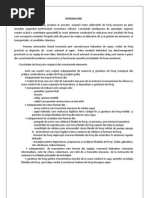 Proiect Final Scobici. CCUPS