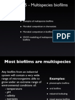 5_biofilmes_multiespecies
