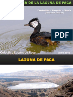 Laguna de Paca: Presentación de Primera Revista Sobre Su Ornitofauna (Aves)