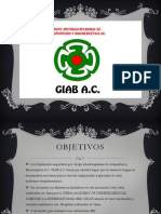 Presentación Promocion GIAB A.C.