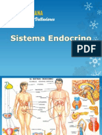 Sistema Endocrino