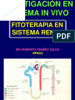 Fitoterapia en sISTEMAS in VIVO I