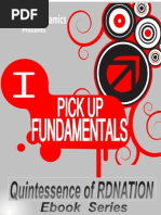 Download RSD Nation Pick UP Fundamentals by Alan Gee SN147288428 doc pdf