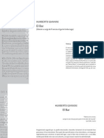 d5 Giannini PDF