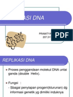 Replikaasi Dna