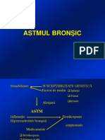 Curs 5 - Astm Bronsic