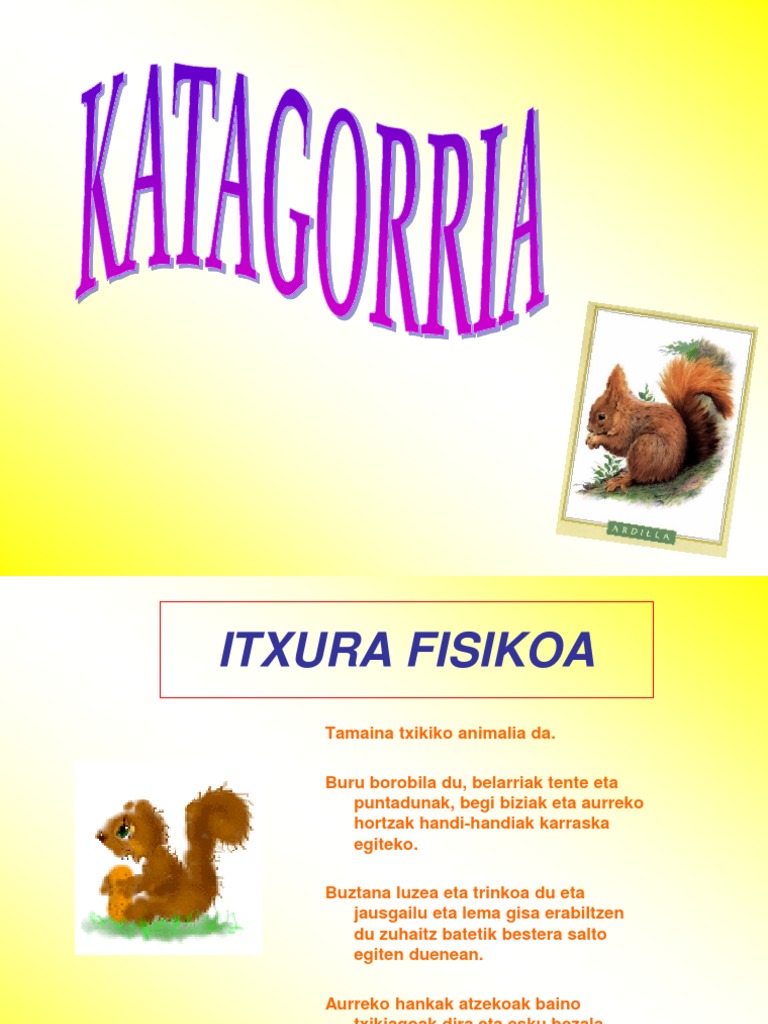 Katagorria | PDF