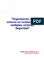 Organizacion Del Entorno en Incidentes de Multiples Victimas. Seguridad