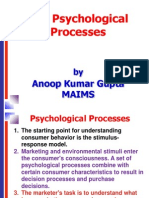 04 Key Psychological Processes