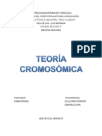 TEORÍA CROMOSÓMICA.docx