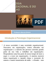 Psicologia Organizacional