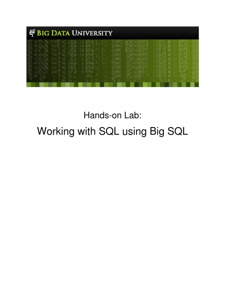 Lab - Working With SQL Using Big SQL v3 | PDF | Sql | Command Line ...