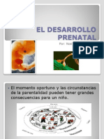 Desarrollo Prenatal