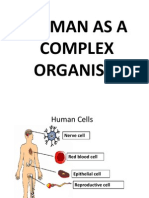 Human As A Complex Organism