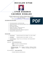 Curriculum Vitae - Victor Cáceres Hidalgo TC