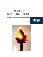 Pens an Do Chestnut Bud