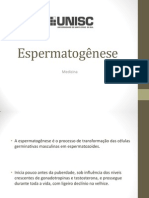 Espermatogênese