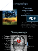 Conceitos Da Neuropsicologia