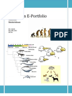 nikkatan evolution e-portfolio