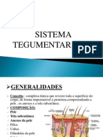 Sistema Tegumentar - Trabalho Finalizado