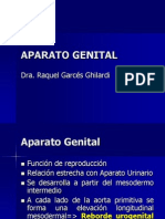 3 Aparato Genital