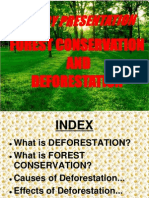 Forest Conservation AND Deforestation