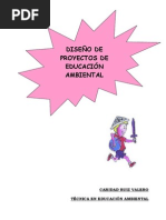 Diseno Proyectos