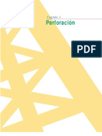 CAP 03-Perforacion(Pozo Ilustrado)