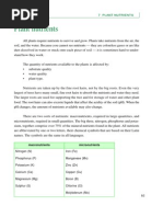 Download Nutrients by bahasa_280181 SN147532461 doc pdf