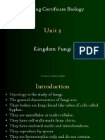 Leaving Certificate Biology Notes: Kingdom Fungi