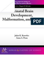 Perinatal Brain Development, Malformation and Injury