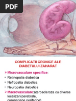 Download Curs Diabet 4-5 by Dr Diana Enachescu SN14759593 doc pdf