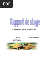 Rapport de Stage Coca Cola