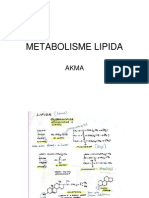 Metabolisme Lipida