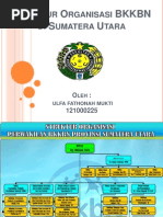 Download Struktur Organisasi BKKBN di Sumatera Utara pptpptx by Ulfa Fathonah Mukti SN147605835 doc pdf
