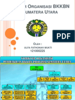 Struktur Organisasi BKKBN Di Sumatera Utara