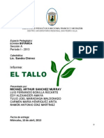 Informe Exposición EL TALLO2.pdf