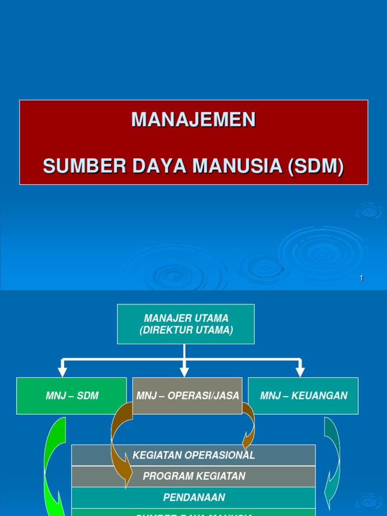 Manajemen Sumber Daya Manusia (SDM) | PDF