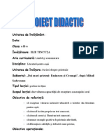 proiectlimbarom_nae.doc