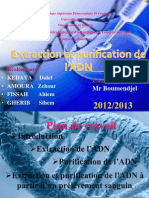 Extraction Et Purification de l'ADN