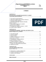 Diagnosticarea Profitabilitatii La Societatea UM Timisoara SA