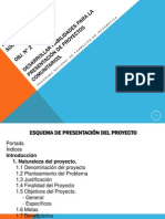 Esquema de Presentación Del Proyecto Completo