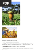 Tradições gaúchas