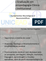 Fundamentos Neurologicos e Neurocientificos Plataforma (1)