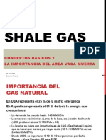 2. Shale Gas Basico