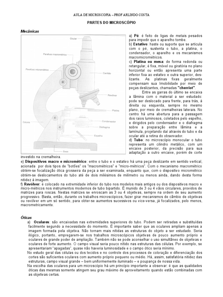 Guia completo sobre os componentes, funcionamento e uso do microscópio ...