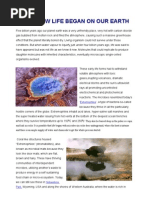 How It All Began My Article