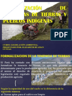 Formalización de Tenencias de Tierras y Pueblos Indígenas 2