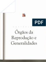 01-Cesar Dumm - Embriologia Humana ORGAOS REPRODUTIVOS